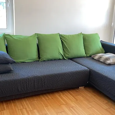 Gemuetliche An Der Donau - Barrierefrei * リンツ